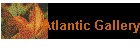 Atlantic Gallery